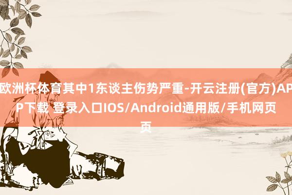 欧洲杯体育其中1东谈主伤势严重-开云注册(官方)APP下载 登录入口IOS/Android通用版/手机网页