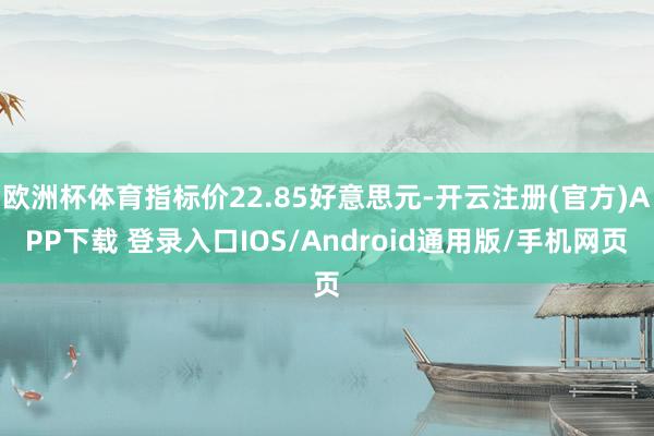 欧洲杯体育指标价22.85好意思元-开云注册(官方)APP下载 登录入口IOS/Android通用版/手机网页