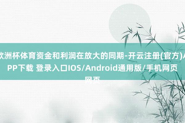 欧洲杯体育资金和利润在放大的同期-开云注册(官方)APP下载 登录入口IOS/Android通用版/手机网页