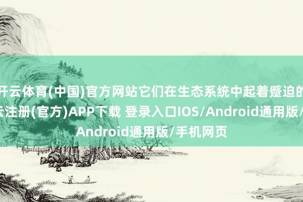 开云体育(中国)官方网站它们在生态系统中起着蹙迫的变装-开云注册(官方)APP下载 登录入口IOS/Android通用版/手机网页