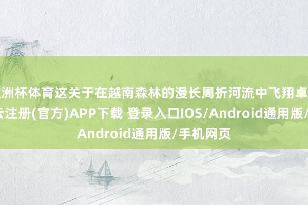 欧洲杯体育这关于在越南森林的漫长周折河流中飞翔卓绝灵验-开云注册(官方)APP下载 登录入口IOS/Android通用版/手机网页